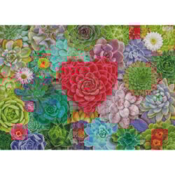 Succulent Love (Large) (Lars Stewart)