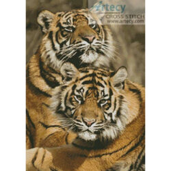Sumatran Tigers (Stephen Meese - Fotolia)