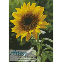 Sunflower (http://www.pdphoto.org)
