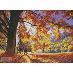 Sunlight through the Trees (David Lloyd Glover)