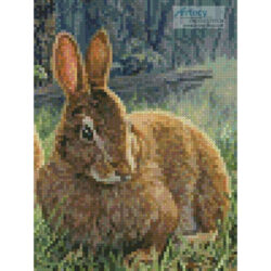 Sunny Bunnies (Crop 2) (Randy McGovern)