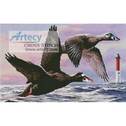 Surf Scoter Ducks (www.wpclipart.com)