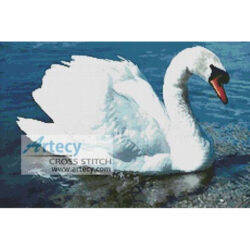 Swan (www.photos.com)