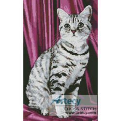 Tabby (www.photos.com)