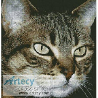 Tabby Cat (Gracey from http://www.morguefile.com/)