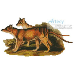 Tasmanian Tiger (Markku Murto - Alamy)