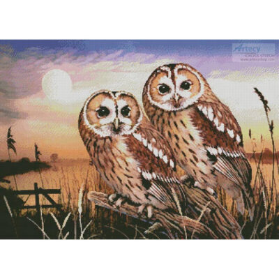Tawny Owls (Howard Robinson)
