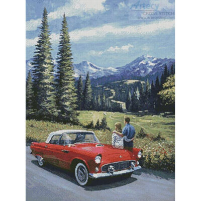 T-Bird in the Mountains (Kevin Walsh)