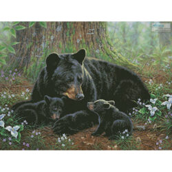 Tender Moments (Abraham Hunter)
