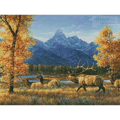 Teton Range (Abraham Hunter)