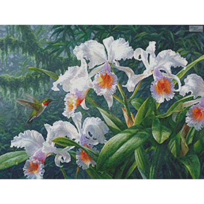 The Canadian Ambassador (Beth Hoselton)