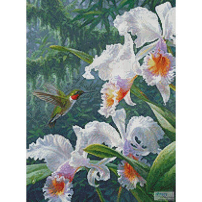 The Canadian Ambassador (Crop) (Beth Hoselton)