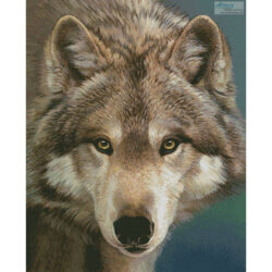 The Eyes of a Hunter (Joni Johnson Godsy and Cypress Fine Art Licensing www)