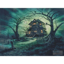 The Haunted House (Steve Read)