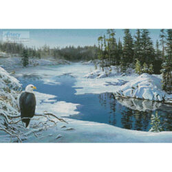 The Lookout (Kim Norlien)
