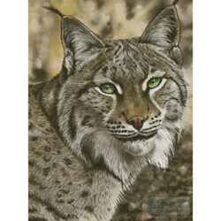 The Lynx Effect (Karie-Ann Cooper)
