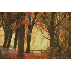 The Magical Hour (Lars Van de Goor)