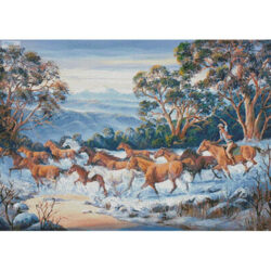 The Man from Snowy River (John Bradley)