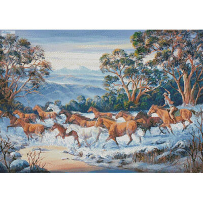 The Man from Snowy River (John Bradley)