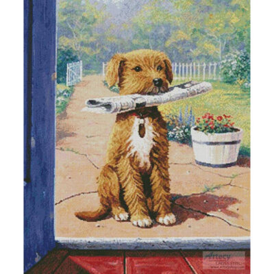 The Newsboy (Kevin Walsh)
