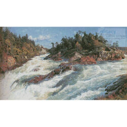 The Raging Rapids (Peder Mork Monsted)