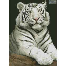 The Stare (Kyslynskyy-Fotolia)