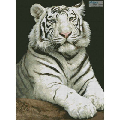 The Stare (Kyslynskyy-Fotolia)