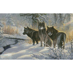 Three Amigos (Mark Keathley)
