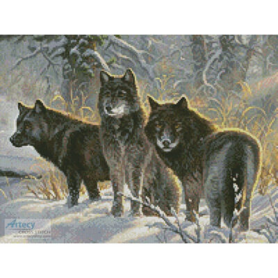 Three Amigos (Crop) (Mark Keathley)