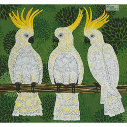 Three Cockatoos (Lisa Frances Judd)