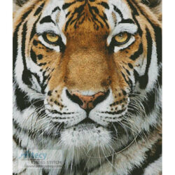 Tiger Portrait (Andy Gehrig - Getty Images)