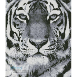Tiger Portrait (Black and White) (Andy Gehrig - Getty Images)