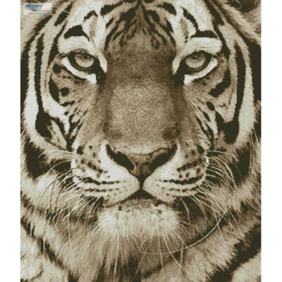 Tiger Portrait (Sepia) (Andy Gehrig - Getty Images)