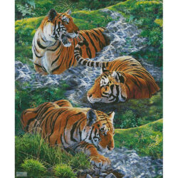 Tigers in Water (Jan Martin McGuire and James Piazza)