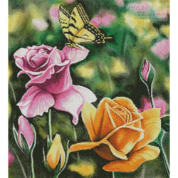 Tiger Swallow Tail in Rose Garden (Mike Bennett)