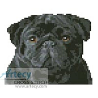 Tiny Black Pug (www.photostogo.com)