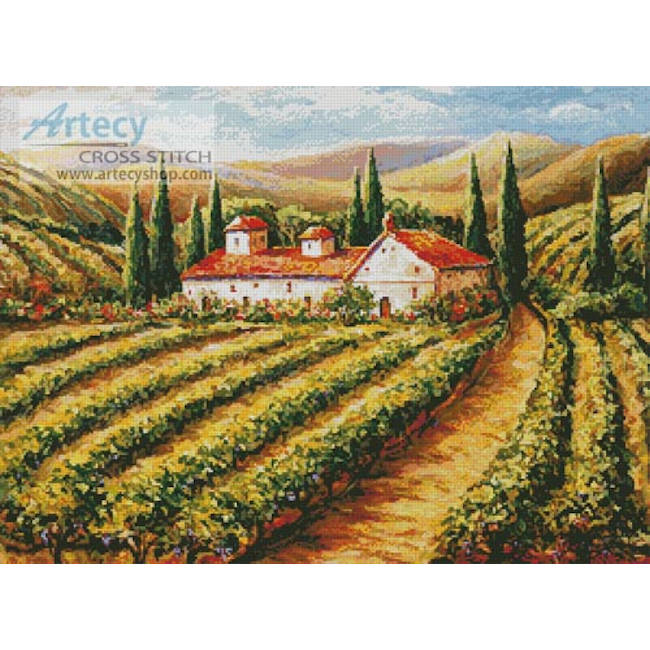 Toscana Vineyard (Daniella Foletto)