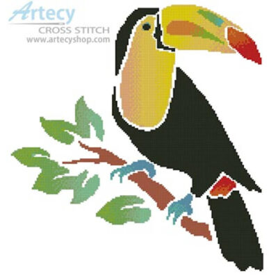 Toucan (Joni Prittie)