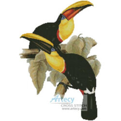 Toucans