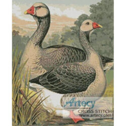 Toulouse Geese