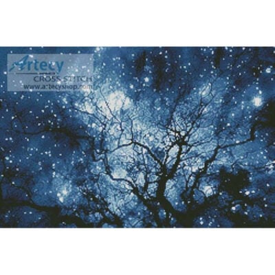 Tree Silhouette against Starry Night (Robert Llewellyn - Corbis)