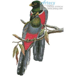 Trogons