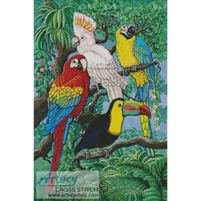 Tropical Birds (Gail Gastfield)
