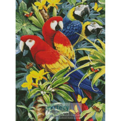 Tropical Macaws (Howard Robinson)