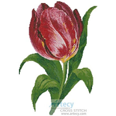 Tulip (Vintagerio)