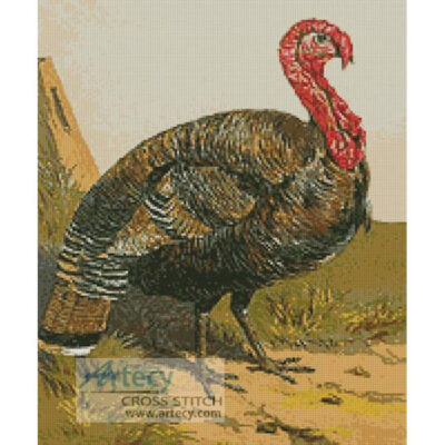 Turkey 2 (Fine Rare Prints)