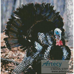 Turkey 3 (www.photos.com)