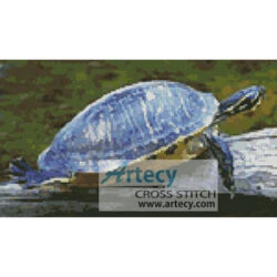 Turtle Photo