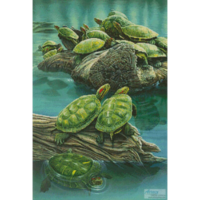 Turtle Pond (Larry Taugher)