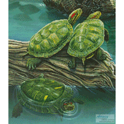 Turtle Pond (Crop) (Larry Taugher)
